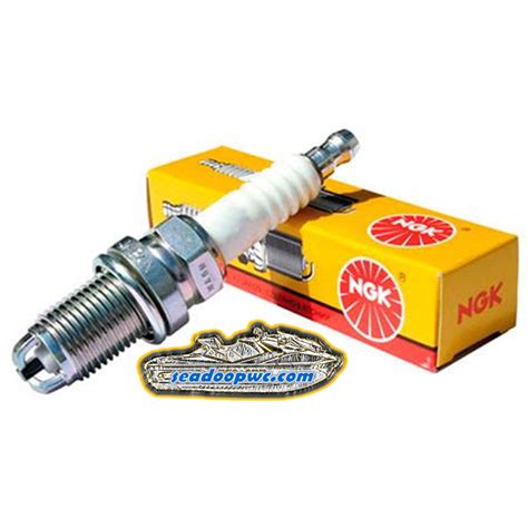 Sea Doo PWC Spark Plugs 